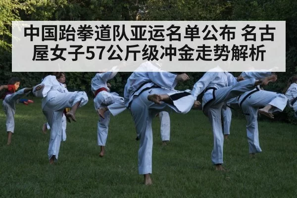 taekwondo kick competition