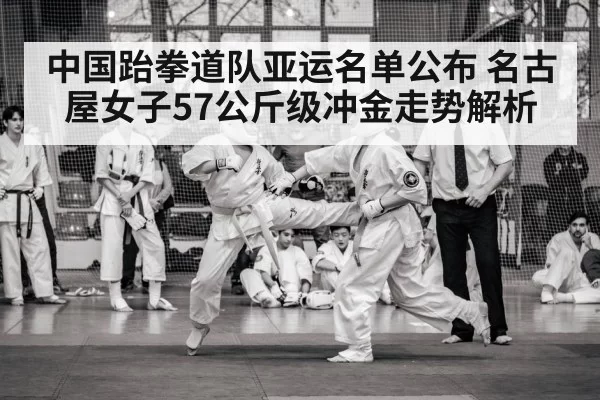 taekwondo arena match